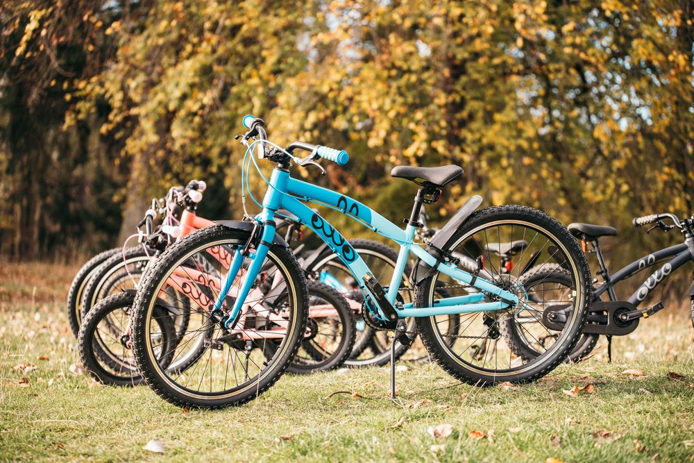 Mehrere Ollo-Kinderfahrräder in verschiedenen Größen und Farben stehen aufgereiht auf einer Wiese vor herbstlichen Bäumen